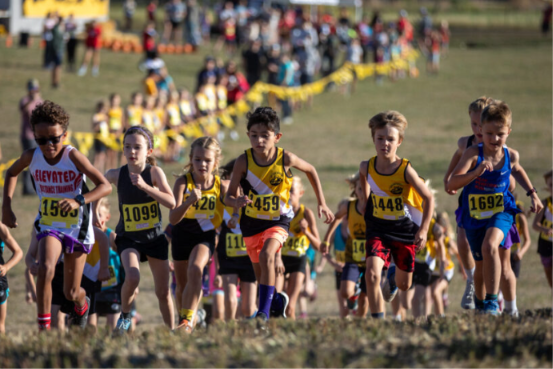 Boulder Mountain Warriors XC Challenge banner